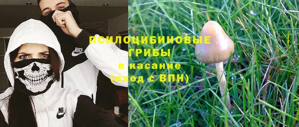 стафф Алексин