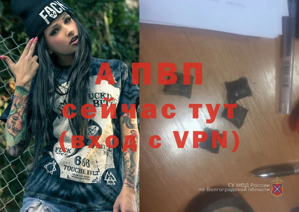 стафф Алексин