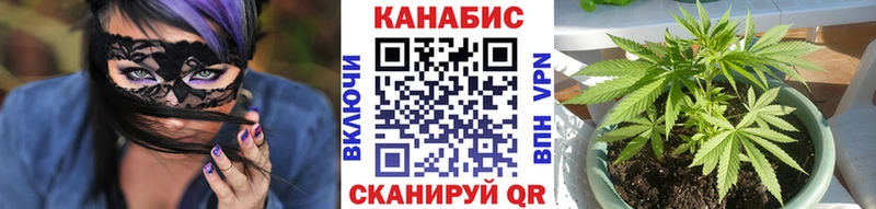 МАРИХУАНА Ganja  Купить где  Болотное 